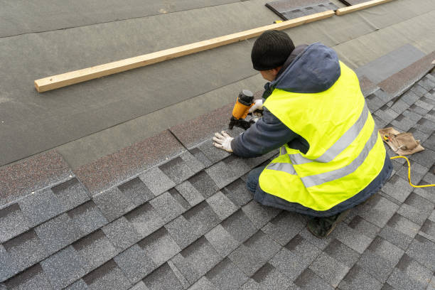 Best Local Roofing Companies  in Woodland Beach, MI