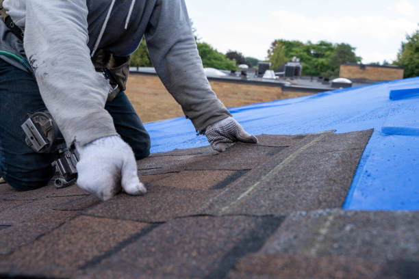 Best Roof Leak Repair  in Woodland Beach, MI