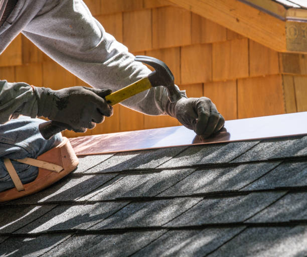 Best Shingle Roofing Installation  in Woodland Beach, MI